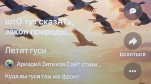 «Летят гуси»- куда вы гуси там же фронт