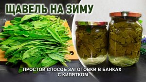 Самая первая заготовка на зиму! Как заготовить щавель на зиму в банках! Щавель без соли и уксуса.