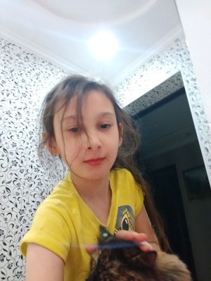 рассказы