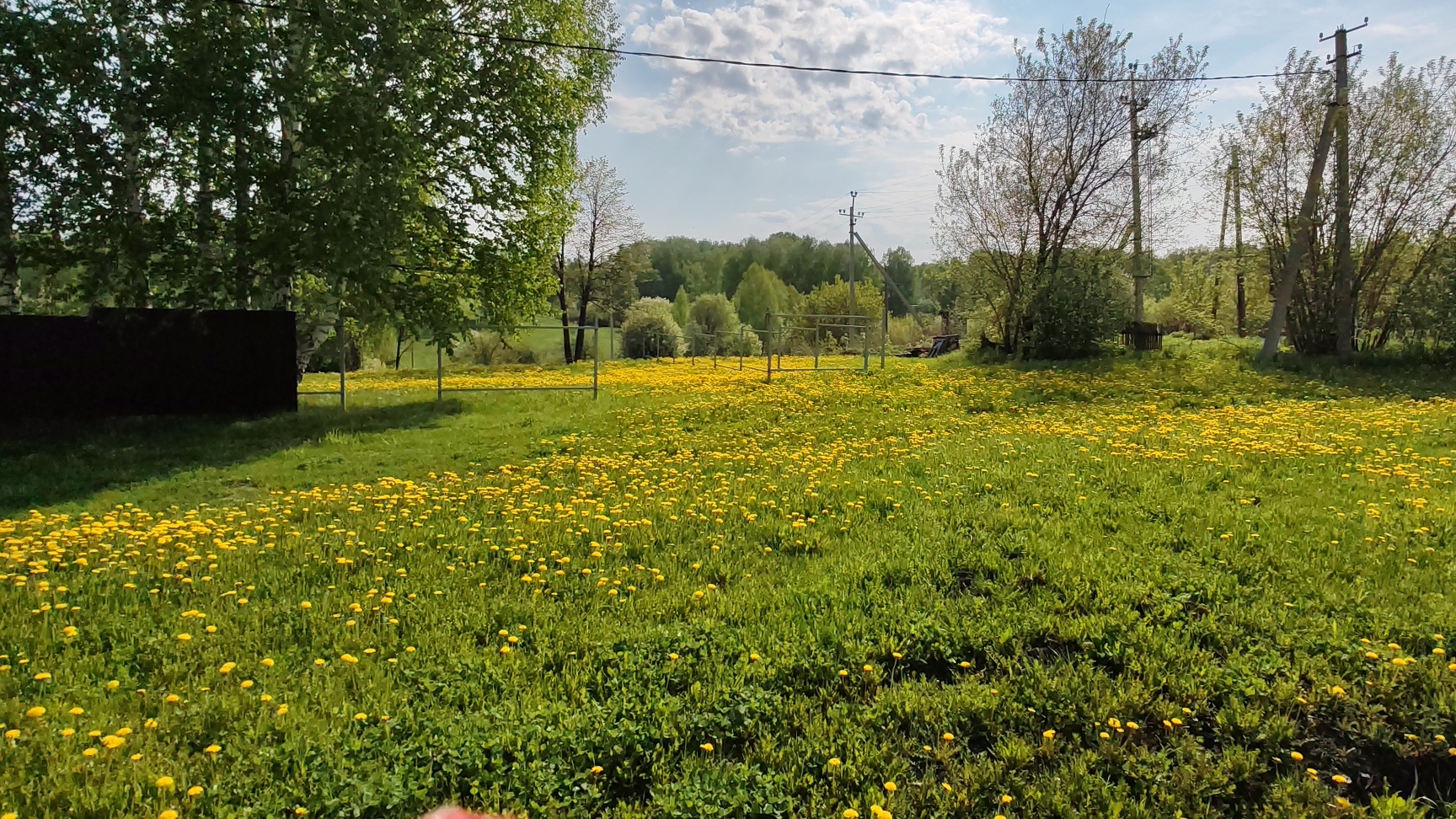 Огородные дела во всей красе