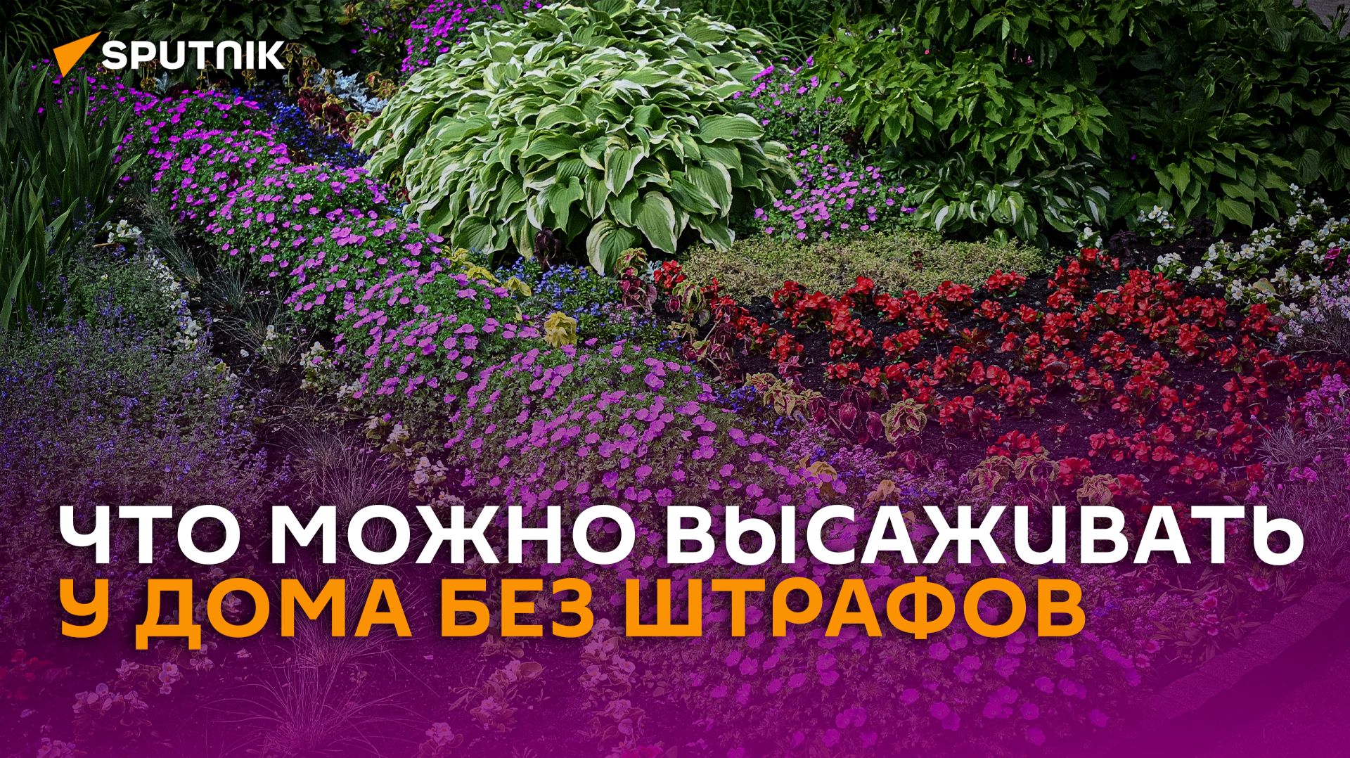 Цветущий двор своими руками: как законно обустроить клумбу возле дома смотреть онлайн