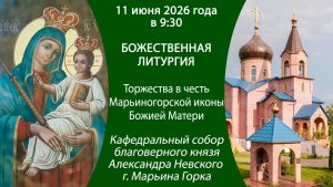 2026.06.11. Прямая трансляция торжеств, посвященных Марьиногорской иконе Божией Матери.
