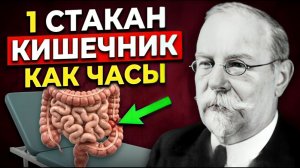 Очищает от всякой дряни. Гениальный советский микробиолог о здоровье кишечника. Леопольд Перетц