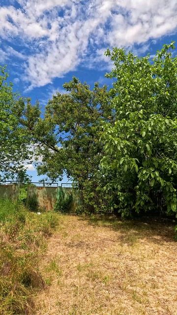 🏡17 соток под Строительство ✅ 550 000 ₽ ❗ТОРГ 📍станица Новоминская🦯89245404992 Виктор Саликов🌴