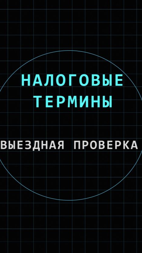 Выездная проверка