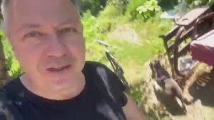 Жизнь вне орхидей. мелкая РУТИНА по дому и сад：огороду ⧸⧸ пришла ЖАРА и чуть не профукал БАЛЬЗАМИН ⧸
