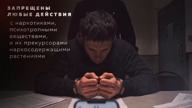 Профилактический видеоролик в рамках антинаркотической коммуникационной кампании