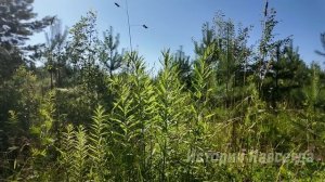 Очнувшись в палате раньше времени, Полина хотела позвать врача. Но услышав…