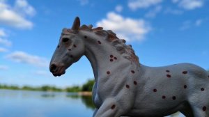 летний фотосет