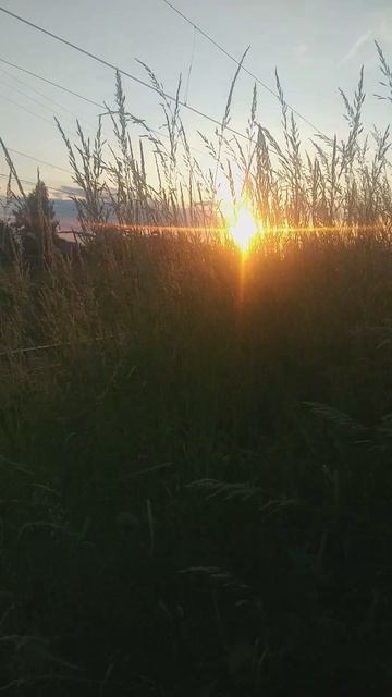 еду домой смотреть онлайн