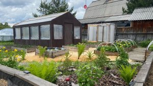 УТРО ПИРОЖКИ _ ПРИЕХАЛИ НА ДАЧУ С АНЮТОЙ _ ПОШЁЛ ДОЖДЬ НА СУТКИ _ СКОСИЛ ОДУВАНЧИКИ _ ПРИВЕЗЛИ ОПИЛ.