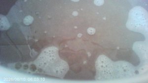 Начало верки гречневой каши (до закипания) - добавил пару капель подсолнечного масла