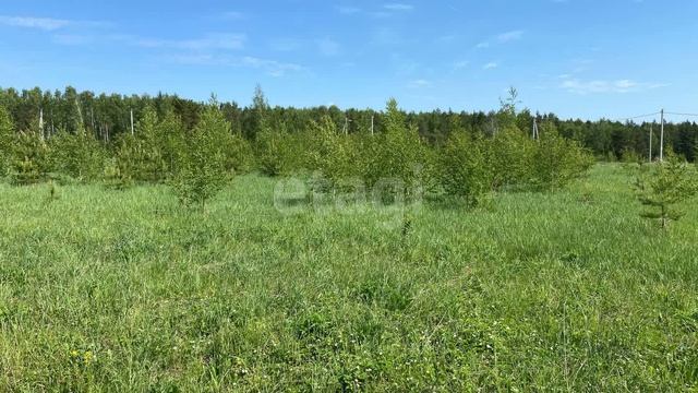 3723361 смотреть онлайн