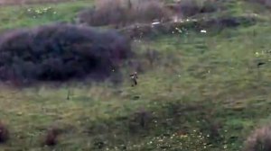 «Русские не сдаются, Русские не бегут!»