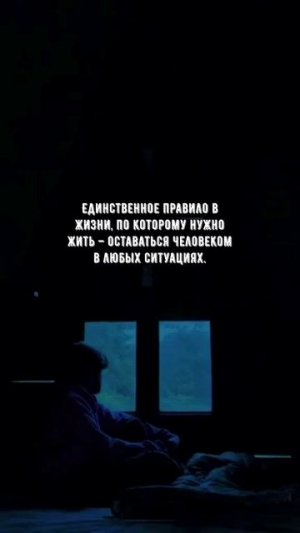 #1095 Цитата дня. Мотивация.