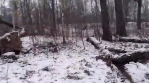 фильм ужасов про зайца часть 3