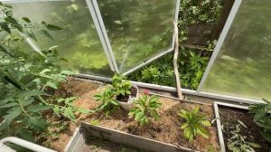 По чужим участкам. Новый скиммер. Не вкусная картошка. Такое продавать нельзя !