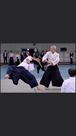 Красивые кадры с 63-го международного фестиваля Айкидо. Стадион “Nippon Budokan”, Япония, Токио. 23.