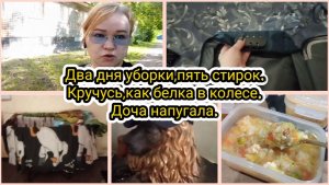 Два дня уборки, пять стирок.Кручусь, как белка в колесе.Доча напугала.