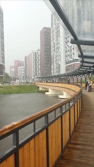 ДОЖДИК В ПРОКШИНО. Москва...