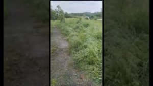 У Алеутов еле восстановились ноги, но это их не останавливает.
