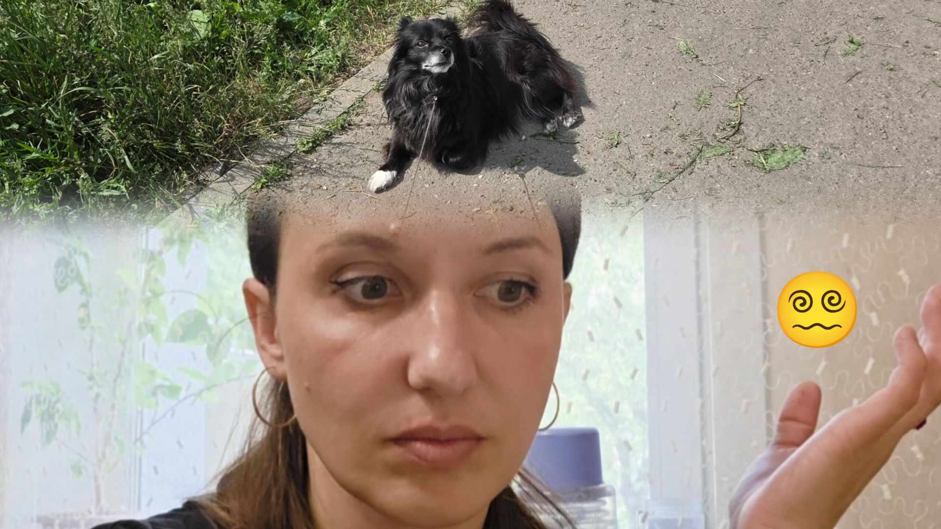 Собираюсь на работу, ДОМАШНИЕ ЖИВОТНЫЕ, проблема НЕПРИЯТНОГО запаха, автошкола