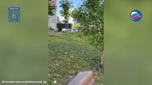 Мальчик спали соседскую квартиру, балуясь бумажным «беспилотником» в Ленобласти