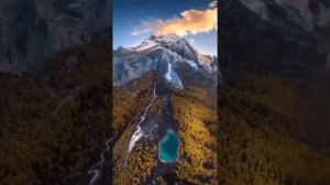video_10580659082673.mp4