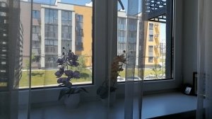 Эх, труженики, все «тащите» на себе