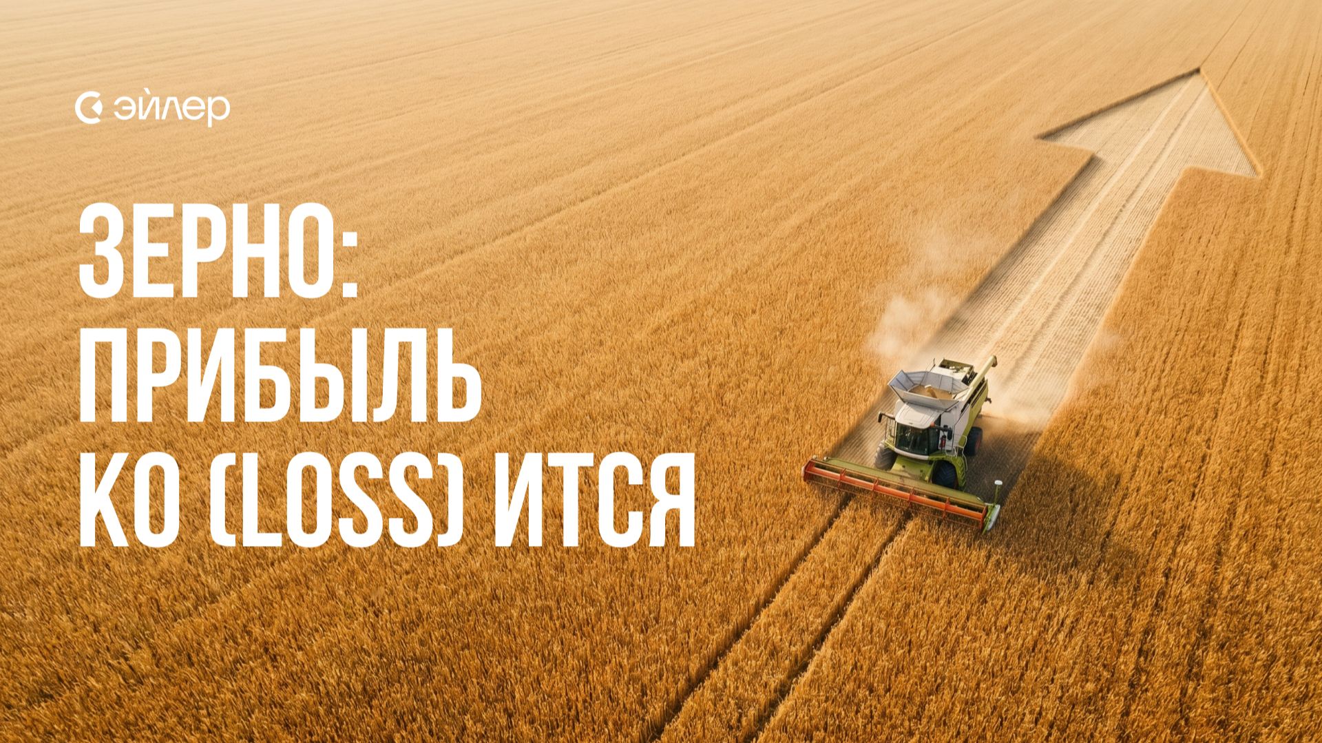 Зерно: прибыль ко(loss)ится