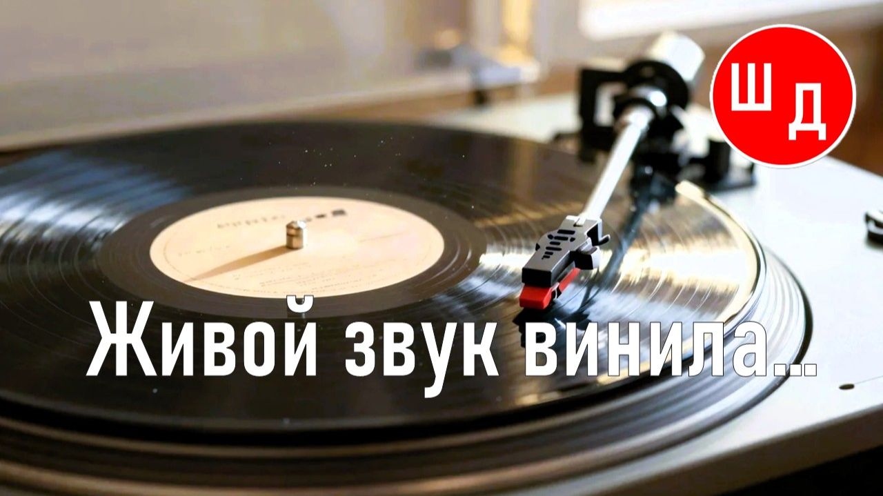 Живой звук винила...  Кавер‑версия. Для вас. Новинка
