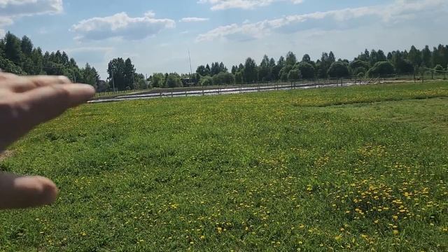 #421🐑 The Lambs Are Growing Fast! Plus Our Chicken Tractor in Action! 🐔9.06.2026 смотреть онлайн