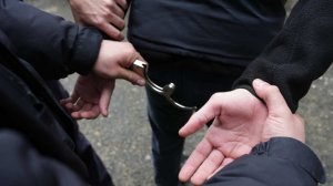 Нацистскую ячейку из 150 человек ликвидировали на Алтае
