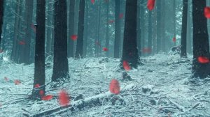 Истории из жизни | Аудио рассказы | Мой самый безнадёжный ученик прислал пр      | Жизненные истории