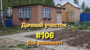 Дачный участок #106 К нам пришло лето, всё зеленеет