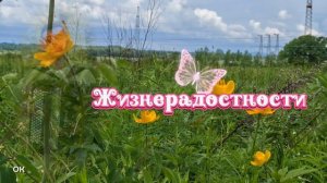 День добрый, красивая музыка. Июнь. Природа - всё цветёт.