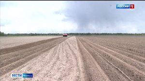 Вести-Томск, выпуск от 10.06.2026 11:30