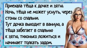 про тёщу 2026
