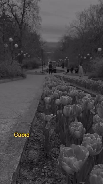 ПРАВДА смотреть онлайн