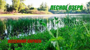 Ловля карася на фидер. Рыбалка с ночевкой.