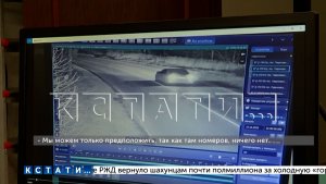 По обвинению в наезде на шпица, тела которого никто даже не видел, женщину отправили в тюрьму