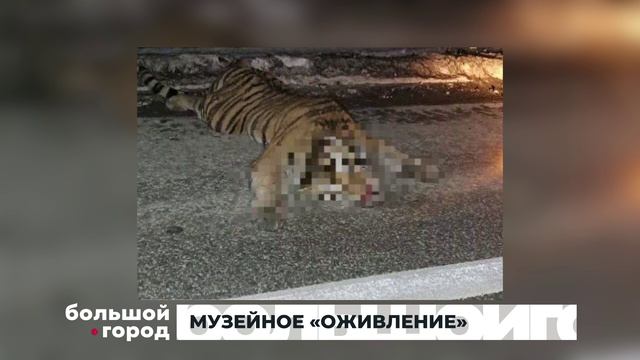 МУЗЕЙНОЕ «ОЖИВЛЕНИЕ». Большой город 10/06/2026