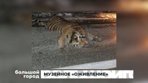 МУЗЕЙНОЕ «ОЖИВЛЕНИЕ». Большой город 10/06/2026