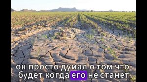 Истории из жизни | Аудио рассказы | Аудиокниги слушать онлайн | Жизненные истории