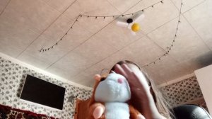 обзор хомяка 🐹