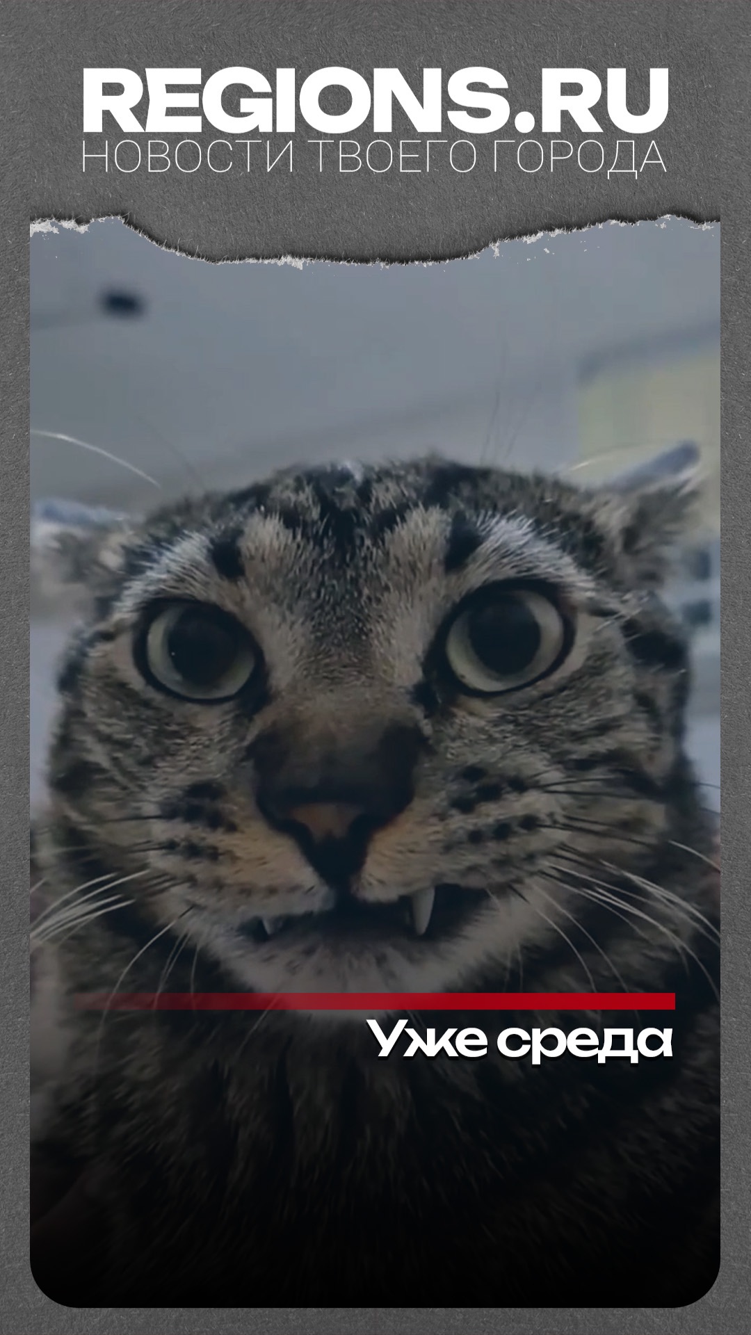 Уже среда