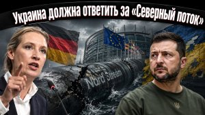 Венгрия, Словакия, Болгария: Восточная Европа выставляет счёт Украине
