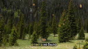 Истории из жизни | Аудио рассказы | Богатый хозяин сети магазинов унизил    | Жизненные истории