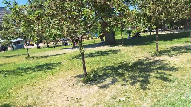 Тополиный пух, Москва, парк Таганский, 10.07.2026 2 часть смотреть онлайн