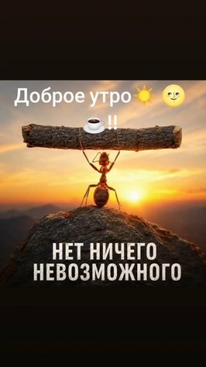 Доброе утро☀ 🌝❤!!! Отличного дня! 
#доброеутро #настрой